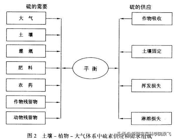 秋施肥与盐碱地改良时，钙镁硫3种元素肥料的重要性及合理施用4