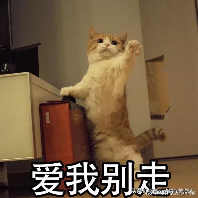 鸡皮肤是不是用硫磺皂