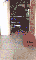 爆笑的动图GIF：在家里做一个男孩子，有时候真的挺不容易