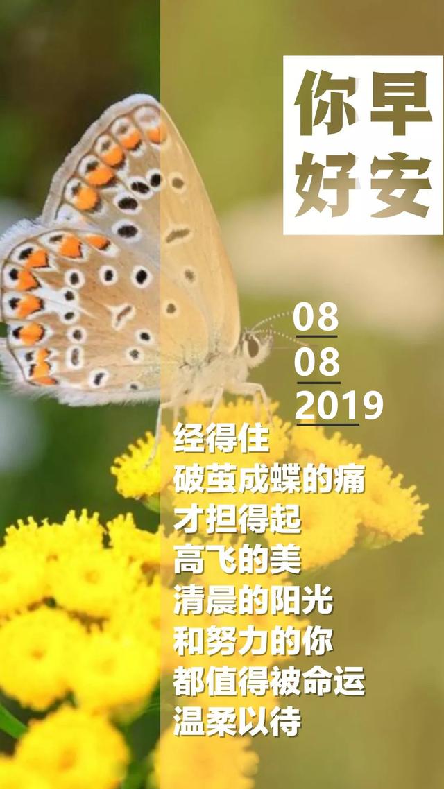 早安正能量图片带字：清晨的阳光和努力的你，都值得被命运温柔以待