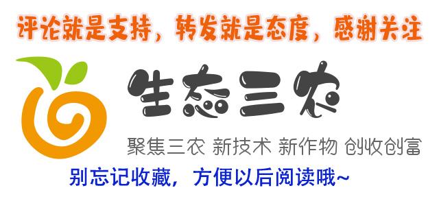 春季枣树现在喷什么农药?枣园能用哪些除草剂？如何防治病虫害8