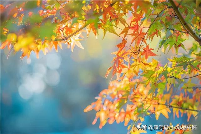 失眠、关节炎...5种疾病高发期来了！但也是调理的好时机