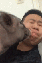 妹子，你们头上戴着钢丝球在哪买的？