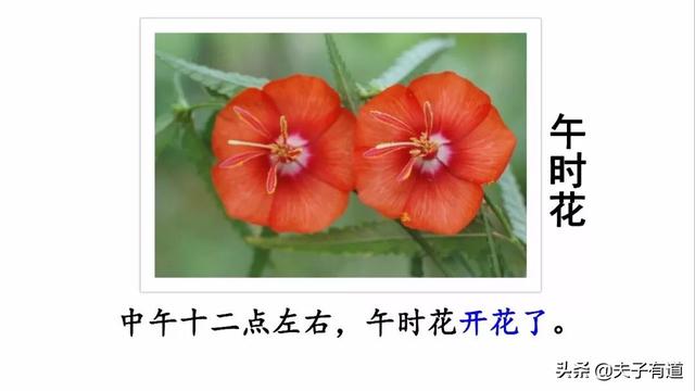 芳组词