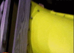 搞笑的动图GIF：如何徒手吃菠萝