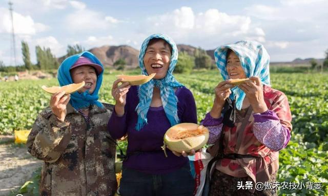 种植瓜果蔬菜，如何解决死苗死棵、烂根烂茎、萎枯猝倒的难题？