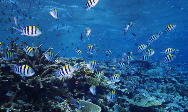 过了50岁，若想预防骨质疏松，这3种常见食物要舍得吃