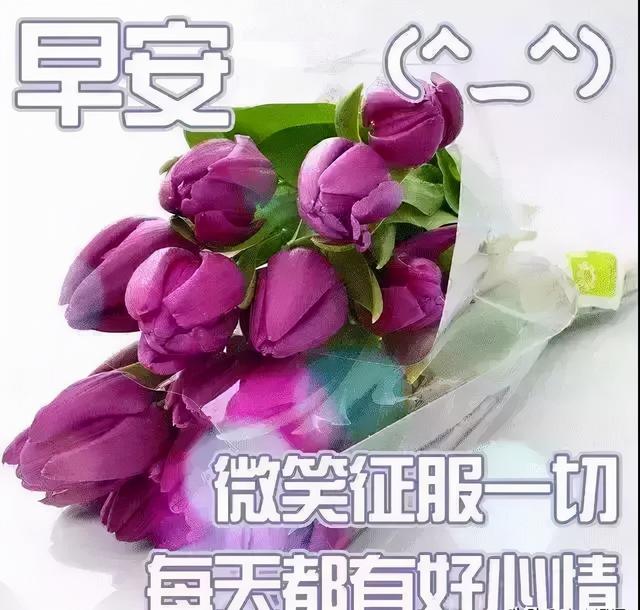 珍惜当下，恬淡随意地生活，便是浅浅的快乐，早安