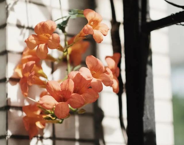 人到中年，要警惕身上出现的这几件“怪事”