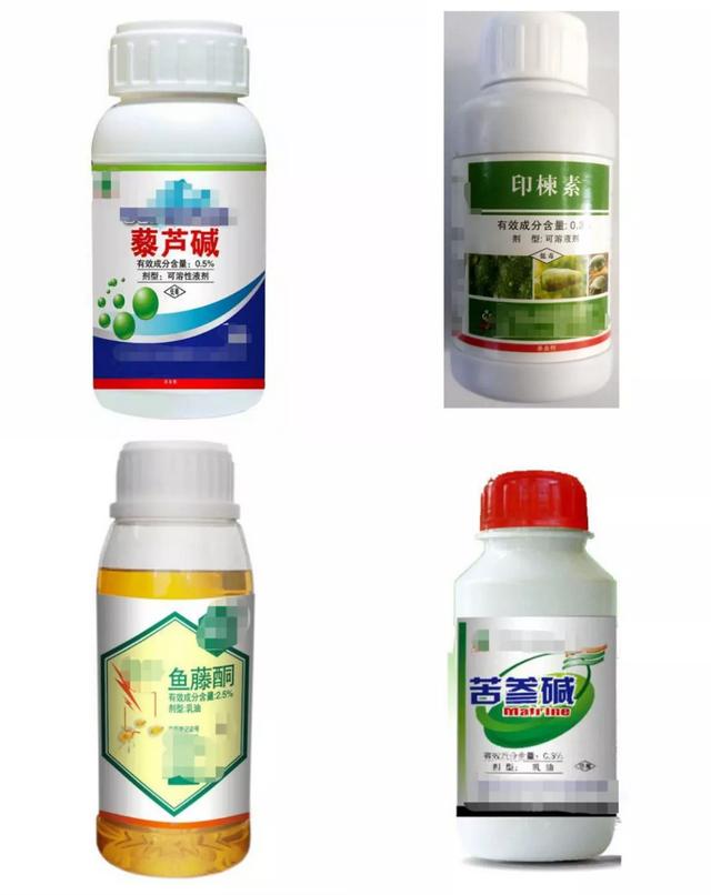 植物性杀虫剂大科普！印楝素、藜芦碱、苦参碱……杀虫效果咋样？3