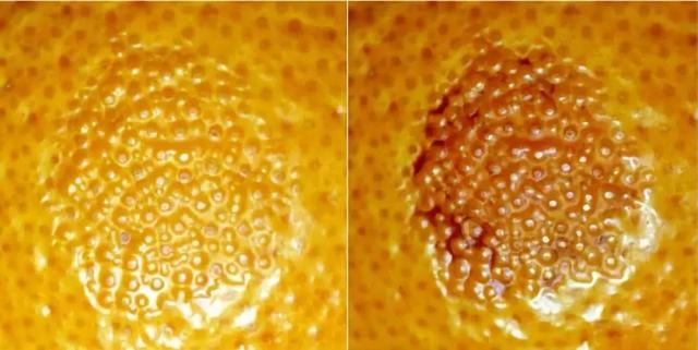 洗砂机1金平果出词快