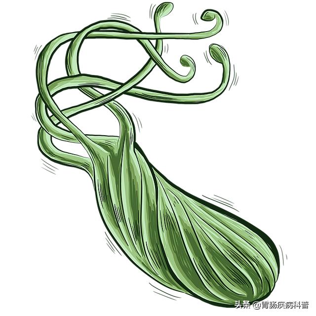 慢性胃病总也好不了？你吃对药了吗？