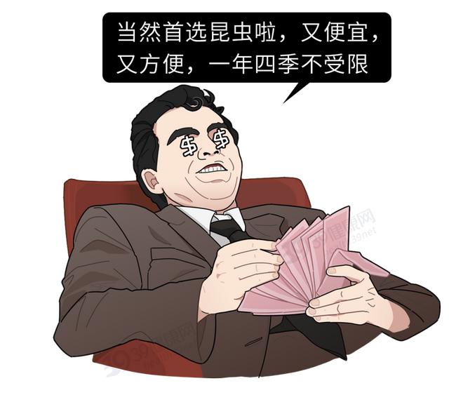 口腔溃疡吃什么会促进愈合？