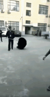 爆笑的动图GIF：你的摩托车加的是白酒吧