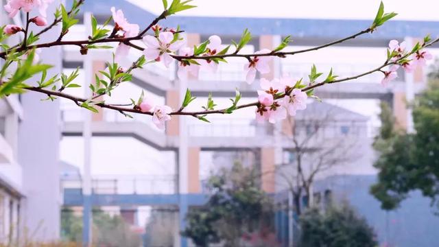 南京航天航空大学金城学院