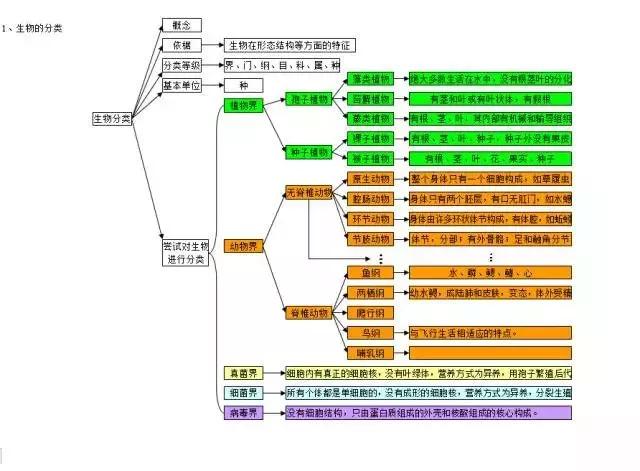 初中各科思维导图全汇总（语文、数学、地理、历史、化学、生物）