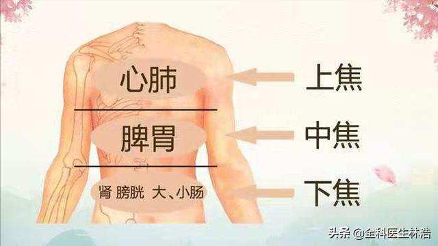 为什么中医说反复长期腹胀的人，他们的健康已经开始瓦解了