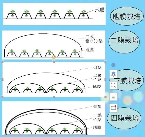 土豆种植4膜技术，与生长时期管理相结合，错峰上市增产提质5