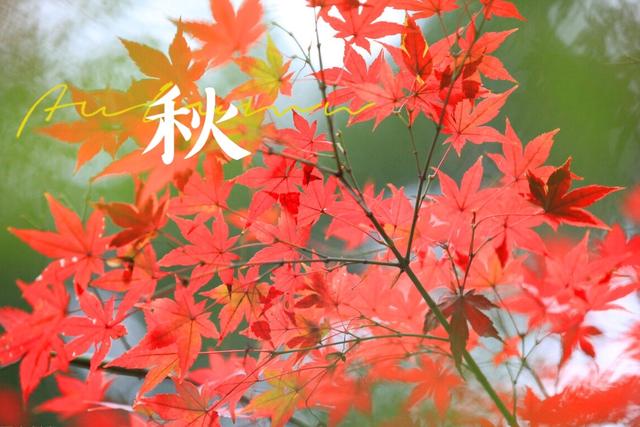 天冷了，手脚冰凉多吃“3红3黑”，温而通之，元气满满过深秋