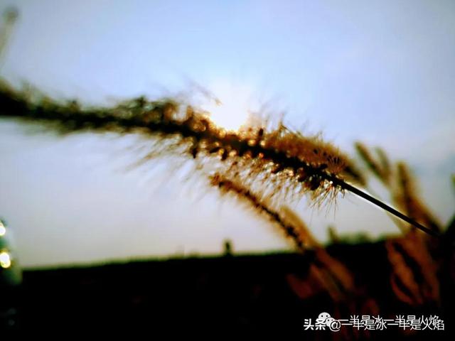 中秋：阴晴圆缺都休说，且喜人间好时节