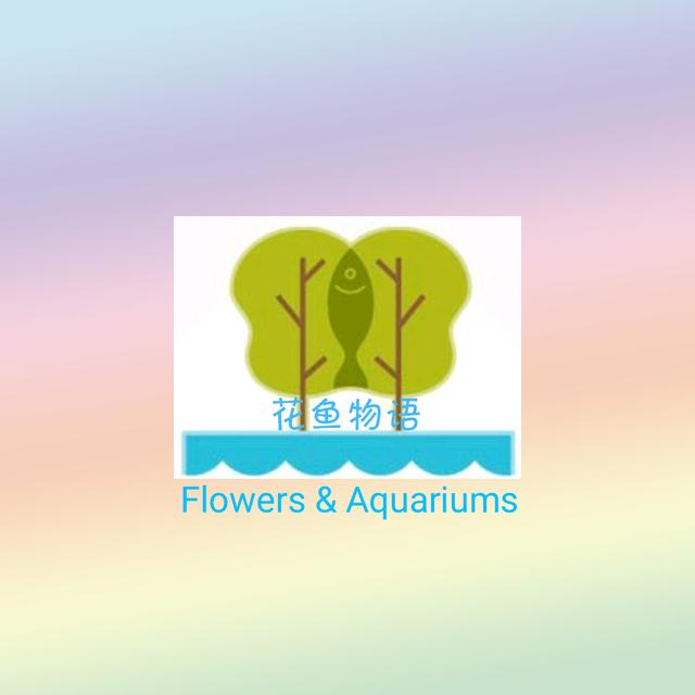 地图鱼视频