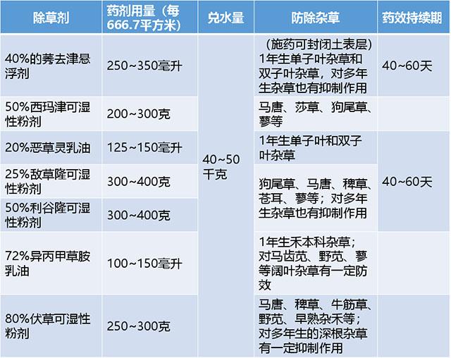 五分钟农技课：甘蔗除草，如何选药？3