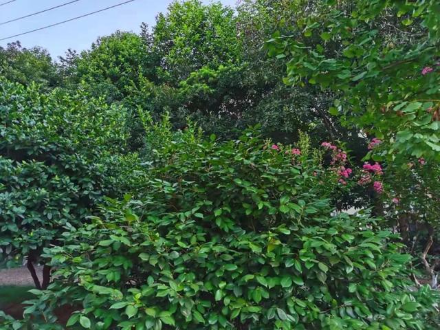 健康的身体是靠你自己养出来的