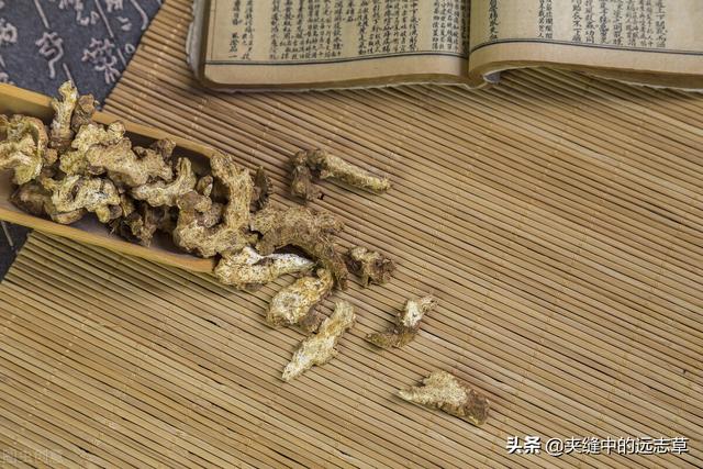 痛风，关节红、肿、热、痛？两味中药，清热燥湿，一味升，一味降