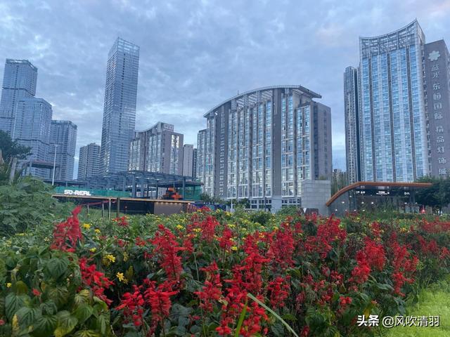 四川最“吃香”的3市，人口多产业强，百强里成都不再“独秀”