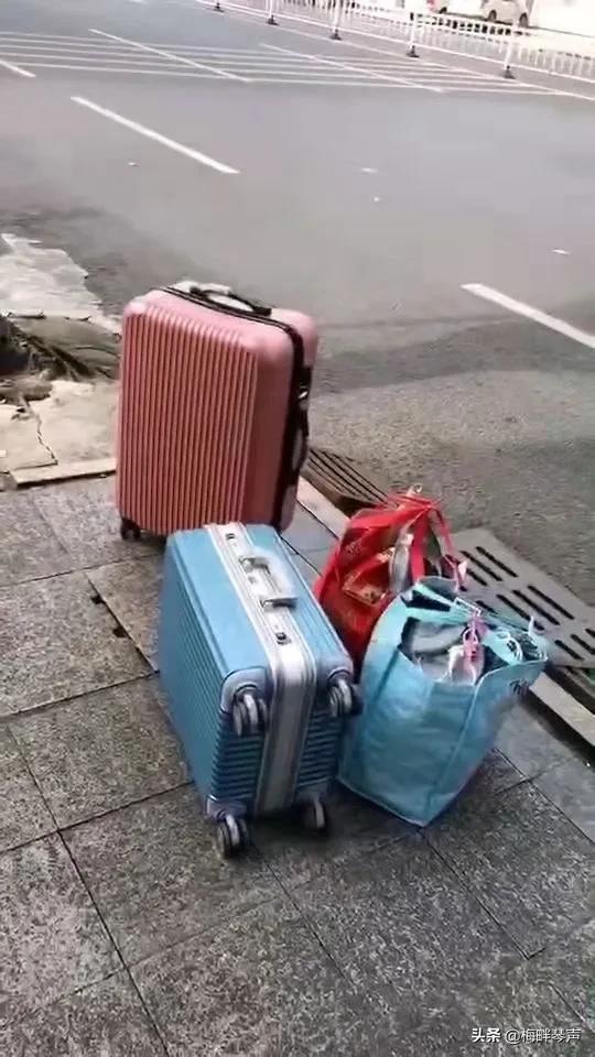 滴滴司机：女乘客要搬家，几箱行李，四只宠物，我要求加价100块