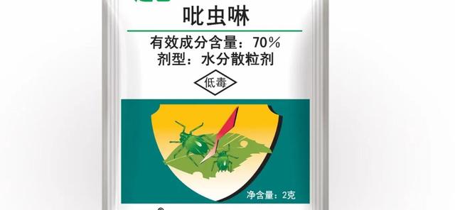 哪些杀虫剂对蚜虫效果好？如何高效消灭蚜虫？关键点在这里3