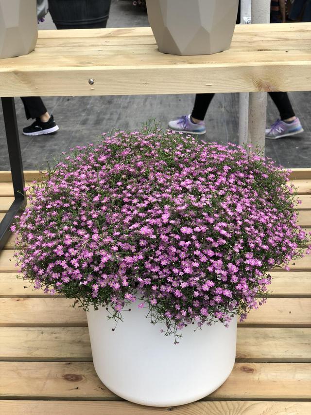 640_853竖版 竖屏