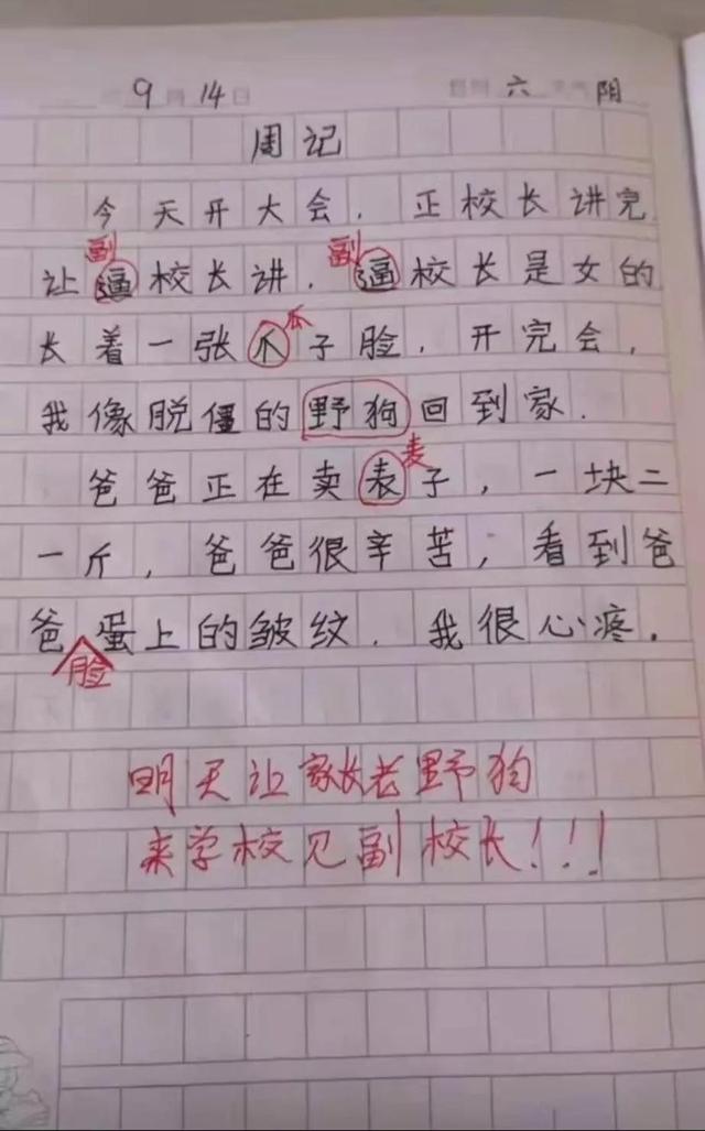 搞笑日志(搞笑日志怎么写) – 乐达学习网