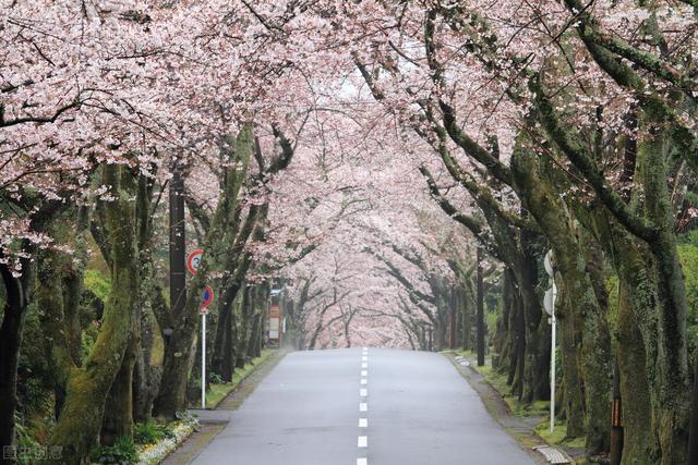 相逢一场 想你一生 你走多远 都是我最牵挂的人歌词「一生走多远的路程」