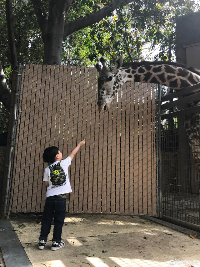 快男冠军李炜现状