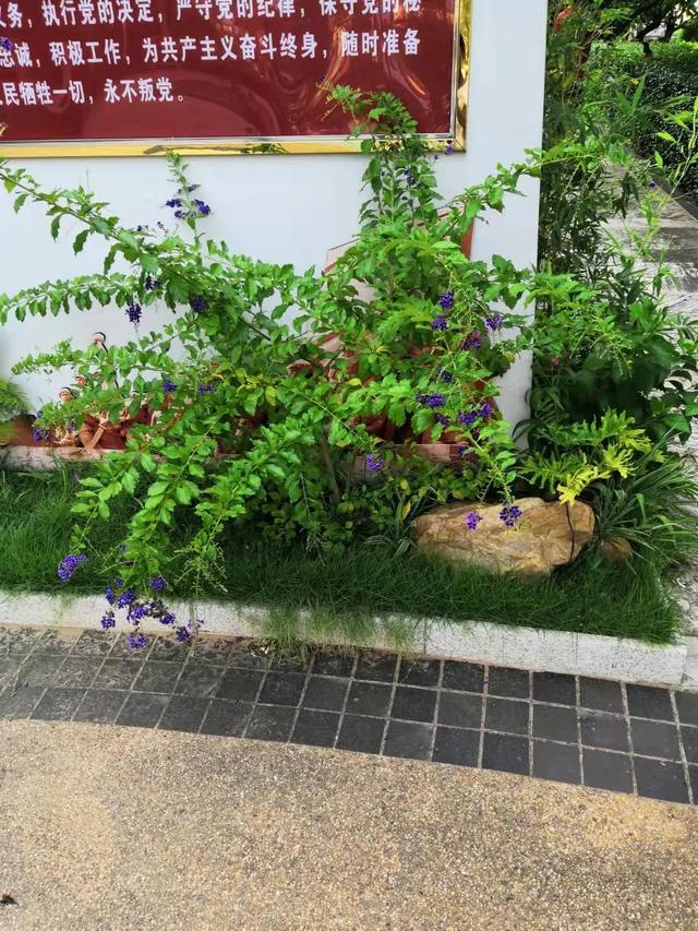 最便宜的5G手机，8+256G才不到1500元