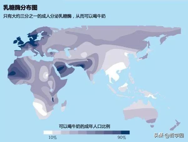 拉萨卧式过滤机