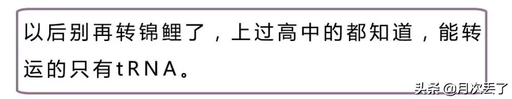 九磅十五便士是什么梗（九磅十五便士啊）