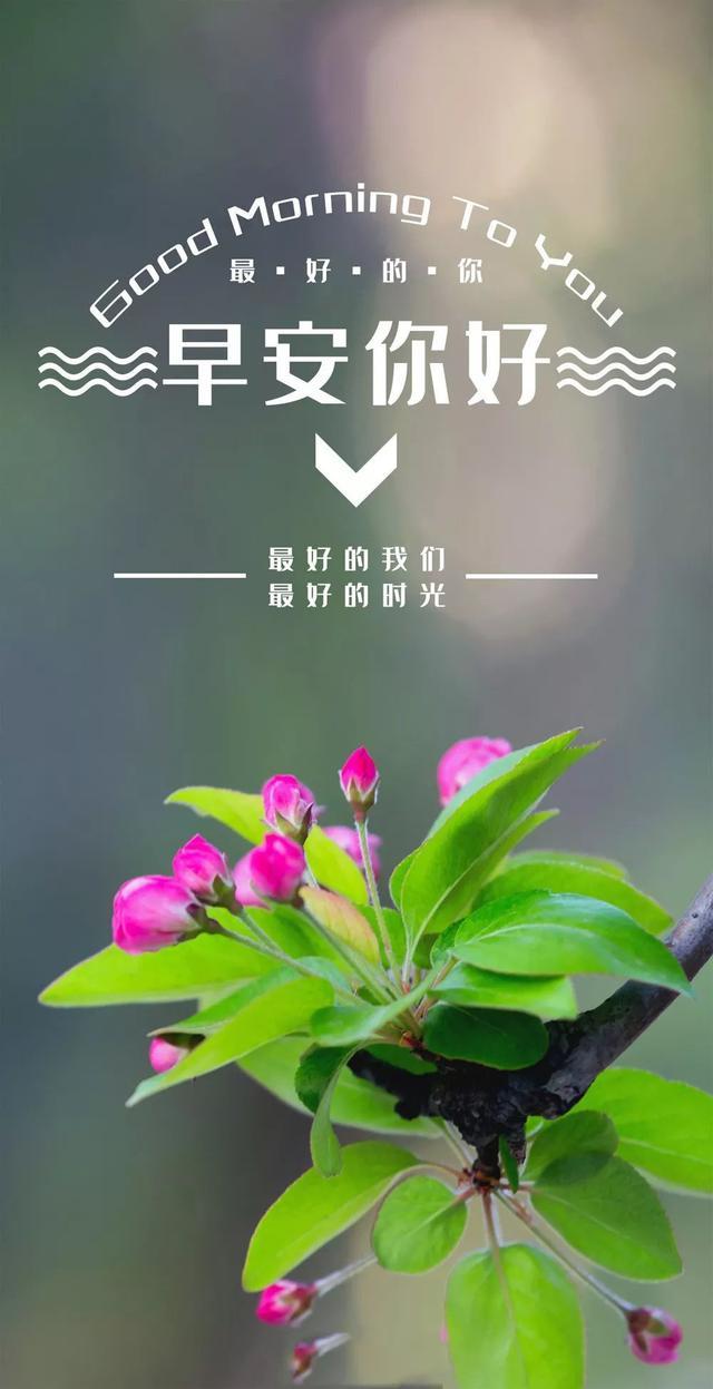 早安新周正能量句子190520：能拯救人生的，是踏踏实实的努力