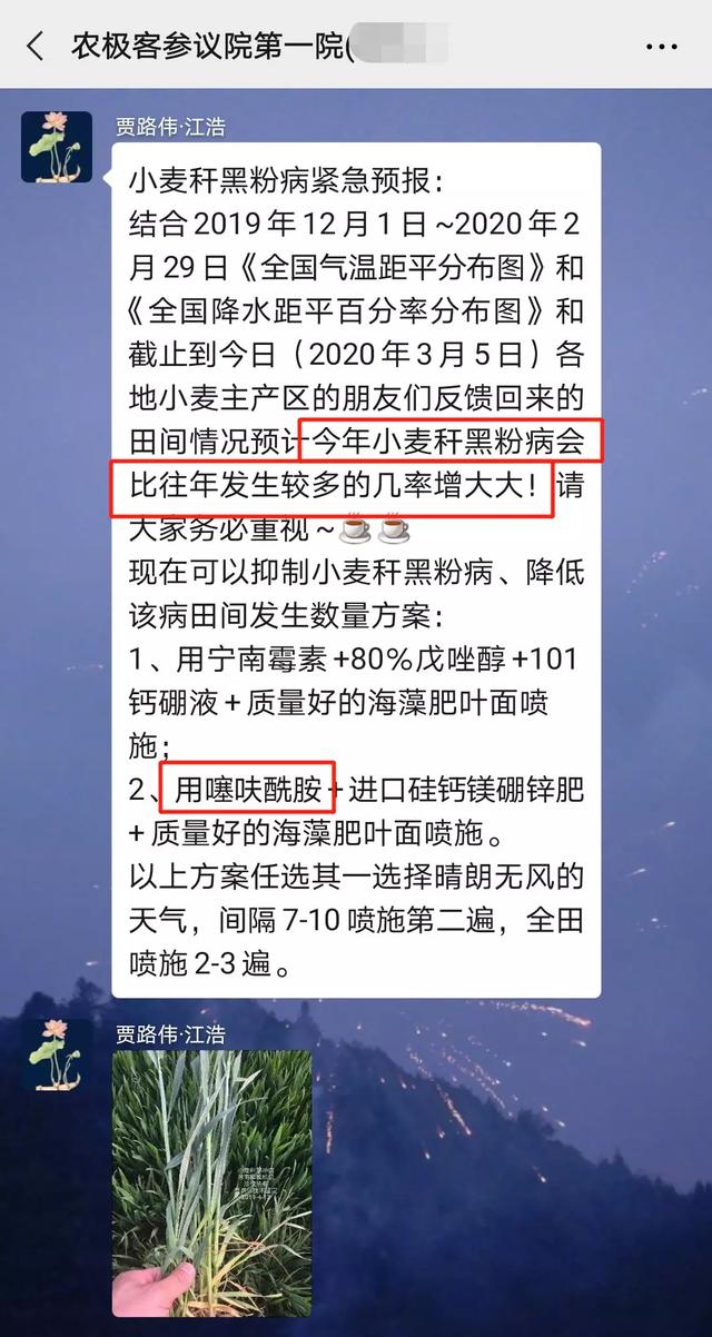 噻呋酰胺【持效期高又安全】，7大使用“关键点”必看！1