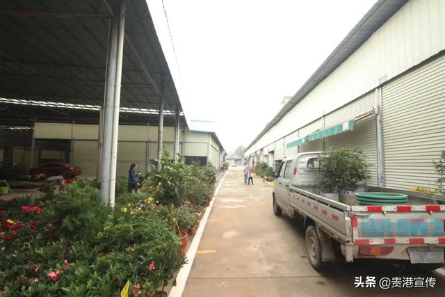 花鸟市场