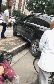 很不错的搞笑动图：耗子陪猫，挣钱不要命了