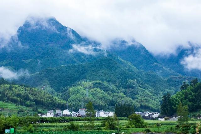 【我要去慶元避暑】不出省的療休養，就躲進避世的山野中享樂吧！