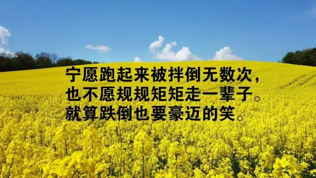 早安心语正能量文字190702：只要下定决心走下去，每一天都是新的开始