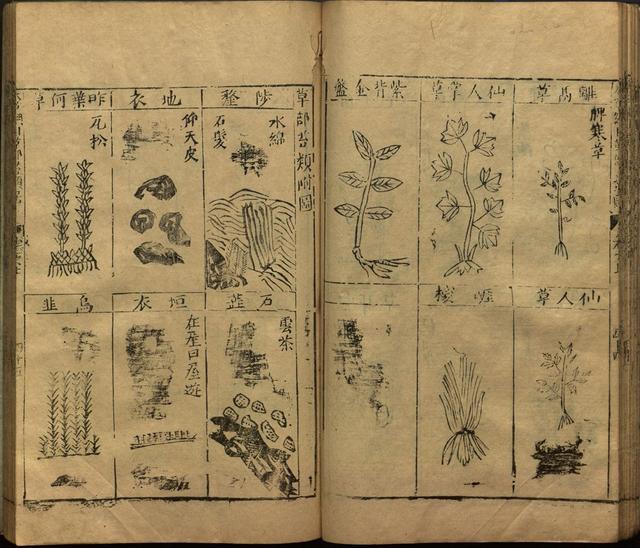李时珍巨著《本草纲目》插图上卷（1596年刻本）
