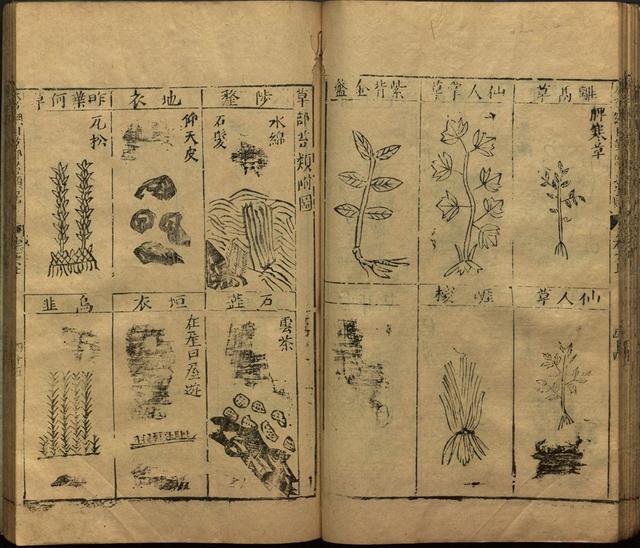 李时珍巨著《本草纲目》插图上卷（1596年刻本）