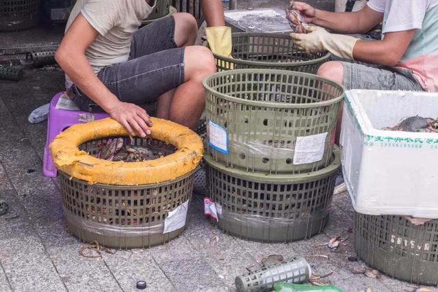 核力移动破碎机