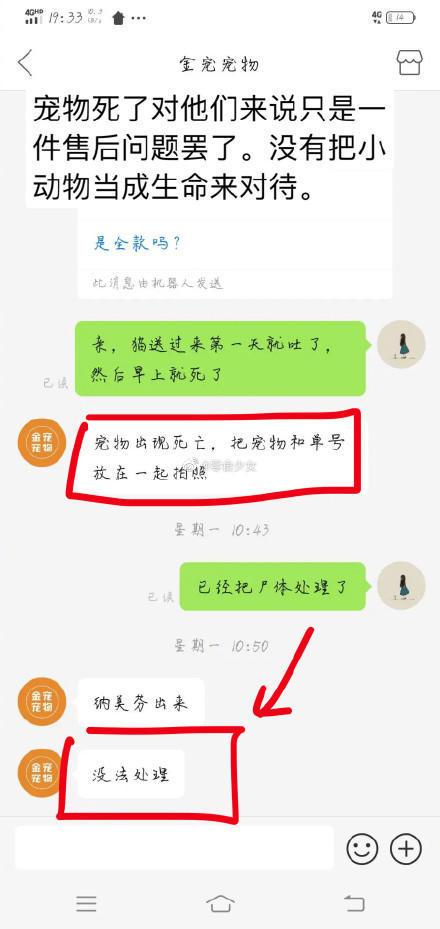 宠物盲盒