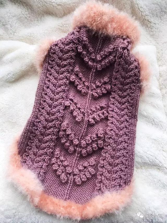狗狗衣服领口怎么织(零基础学织狗狗毛衣视频)-艾拉养犬