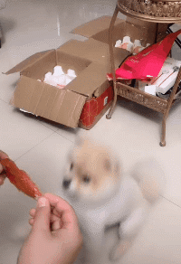 搞笑的GIF动态图片：这个视频让妹子玩出了新境界！